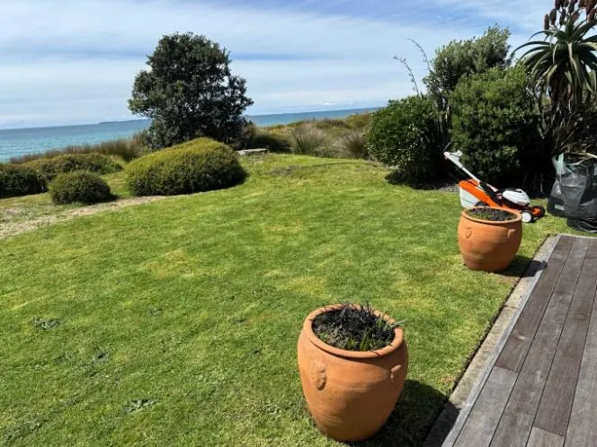 Freshly mowed coastal lawn in Tauranga with a Lawns A Plenty mower