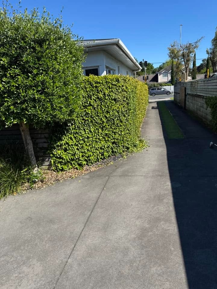 Sharp berm edge mowing result on a Tauranga street