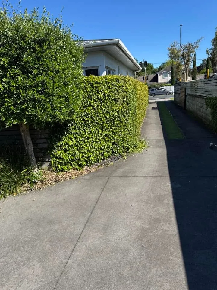 Sharp berm edge mowing result on a Tauranga street