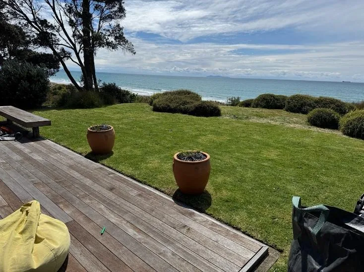 Beachfront lawn mowed by Lawns A Plenty looking out over the Bay of Plenty