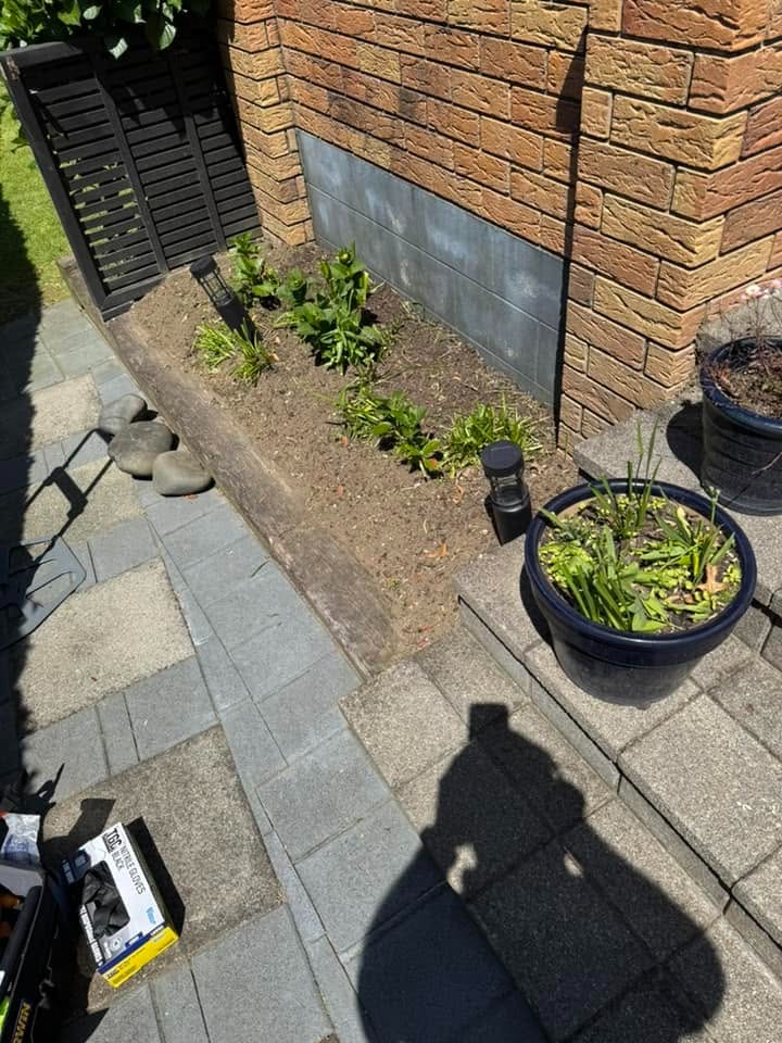 Freshly planted and weeded garden bed maintained by Lawns A Plenty in Tauranga