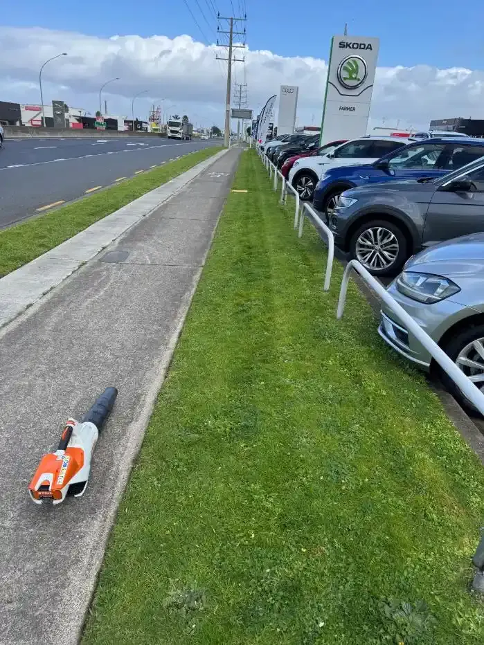 Commercial roadside berm mowed and edged by Lawns A Plenty in Tauranga